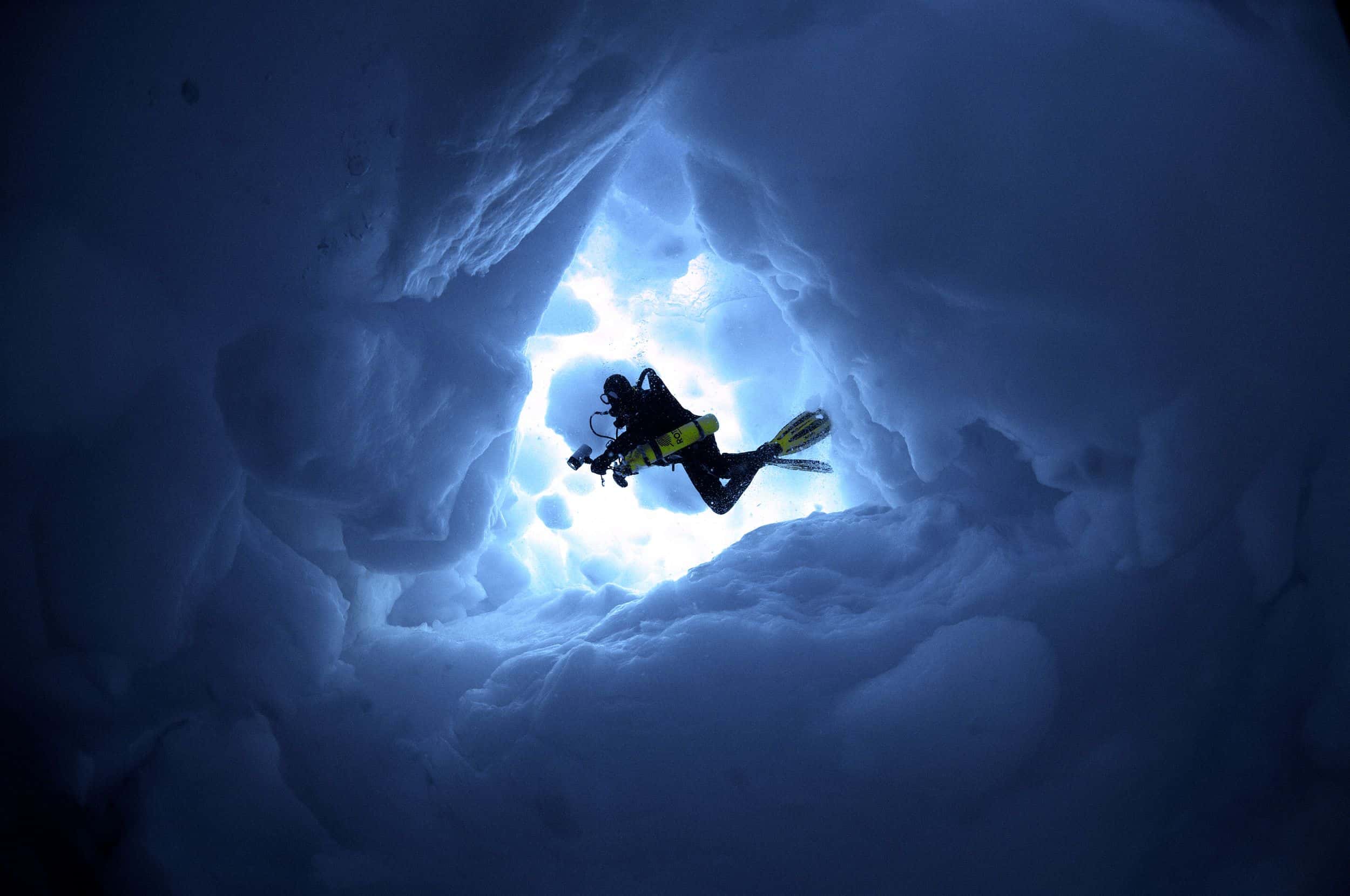 Nous plongeons pour une meilleure
conservation de l’océan